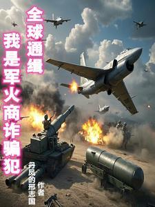 我是军火商