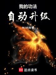 我的功法自动升级陈斐