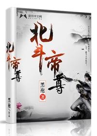 北斗帝尊第二部