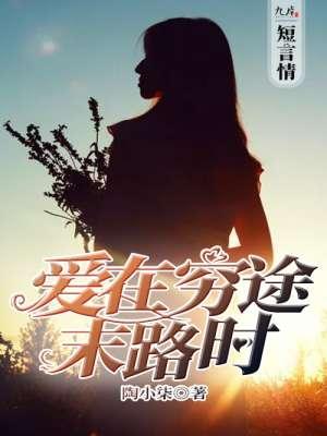 爱在末路之境解析