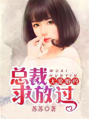 无爱承婚 全文阅读