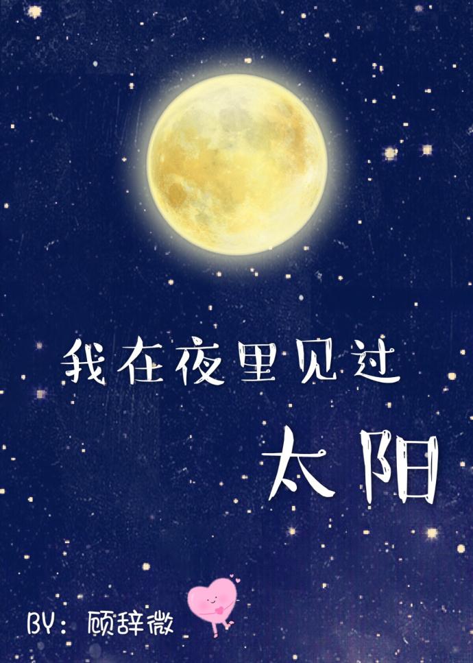 我在夜里见过太阳无删减