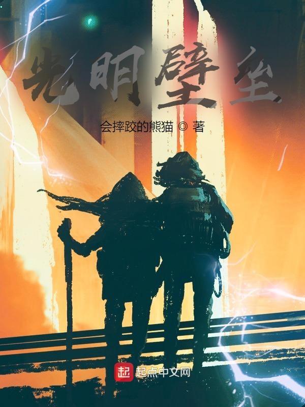 光明壁垒讲了什么故事