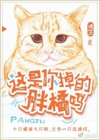 是你的胖橘掉了吗