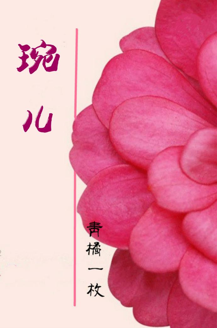 有一本女主叫婉儿