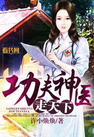 功夫神医(书坊)