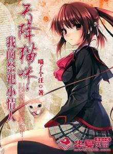 天降宝小熊猫