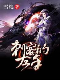 刺客怎么解释