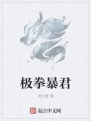 极拳暴君百度TXT