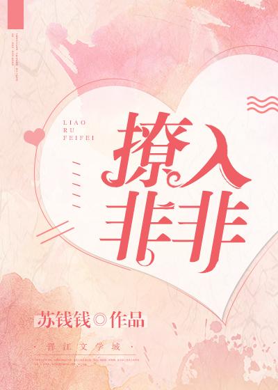 撩入非非全文