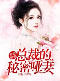 总裁的秘密哑妻封湛