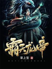 霸天龙帝姜天和苏婉结局