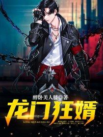 龙门狂婿听书
