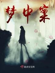 梦中疑案后续