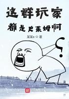 这群玩家明明很强却过分沙雕