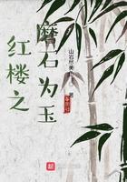 红楼之我是大魔王