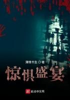 惊惧盛宴百度TXT