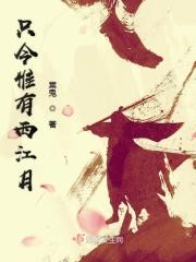 只今惟有西江月运用了什么手法
