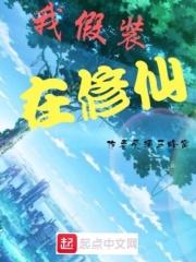 我假装是什么