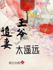 王爷追妻有点忙txt