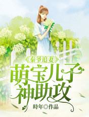 秦爷追妻萌宝儿子神助攻_
