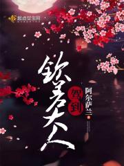 钦差驾到第一集