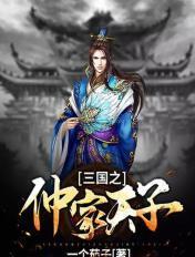 三国之仲家天子书评