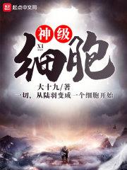 神级细胞的功能单元有哪些