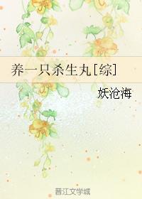 综养一只杀生丸txt